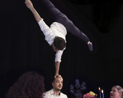 Lunch Concerts & Dinner Shows